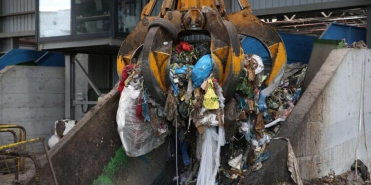 Biyokütle santralleri ‘Yeşil’ değil kapkara!