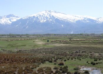 Çayırlarla kaplı Karataş köyü meraları yok edilip kömür madenine tercih edilmesi AKP iktidarının fıtratı olarak öne çıkarken, Türkiye coğrafyasında hayvancılık bitmek üzere