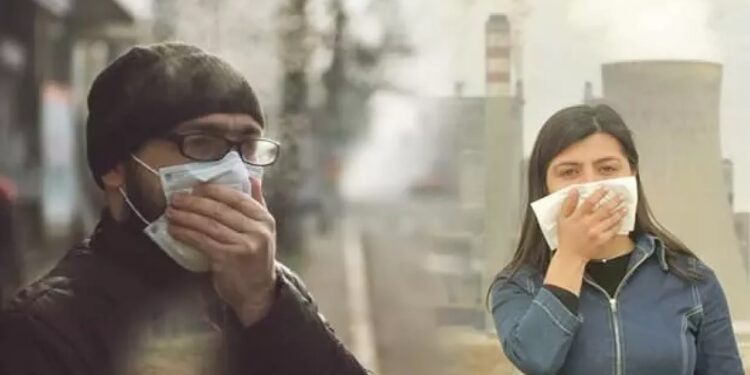 Kirli hava nedeniyle bir milyon ölü doğum