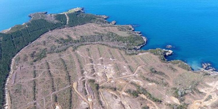 Sinop NGS için Güney Kore