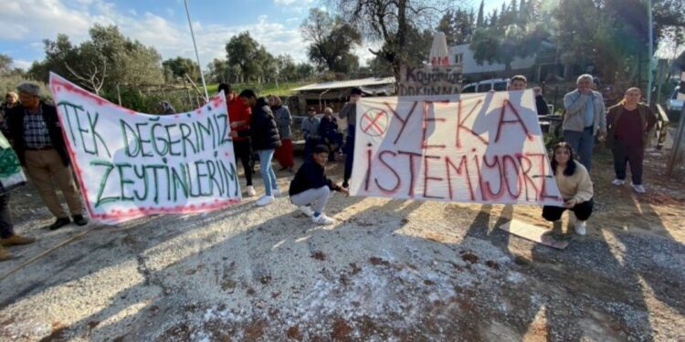 ‘Zeytinliklerimizde RES istemiyoruz’