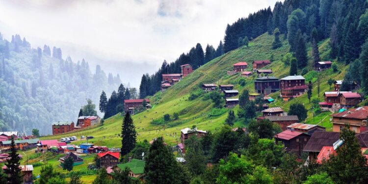 Ayder Yaylası’nda bazı alanlar ‘hassas’ olarak tescil edildi