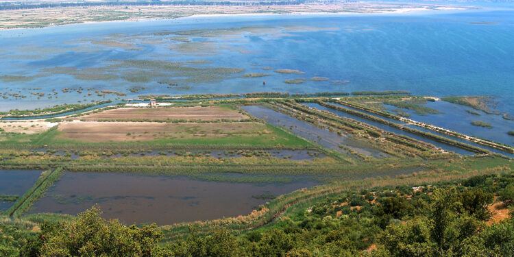 ‘Bu nehre parmağınızı soksanız kanser olursunuz’