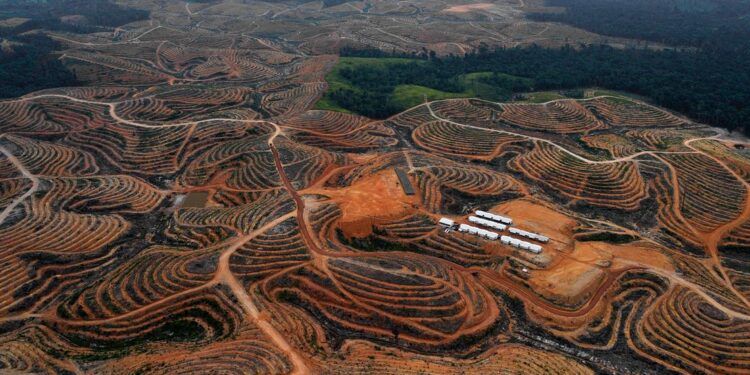 10 yılda 1700 çevreci katledildi