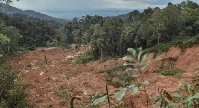 Malezya’da heyelan: 4’ü çocuk 19 kişi hayatını kaybetti