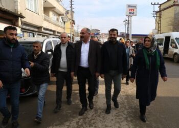 DTK ve DBP Serhat’ta: Soykırım yapmak için tecriti derinleştiriyorlar