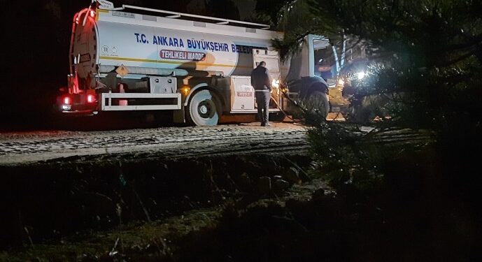 Orman kıyımı sessiz sedasız geceleri yürütülüyor