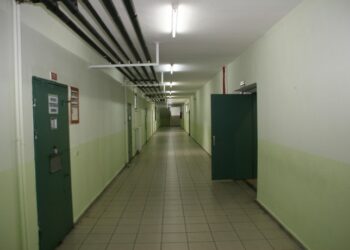 2007’de 17 olan hasta tutuklu sayısı bin 600’ü geçti