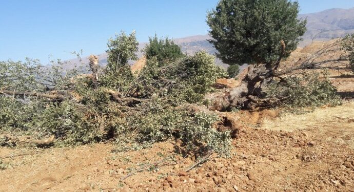 Mêlêtî’dae 1074 ÇED başvurusu