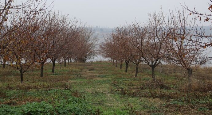‘Üretim ülkesi iken her şeyi ithal eder hale geldik’