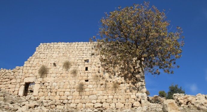 Mor Aho Manastırı tahrip edildi