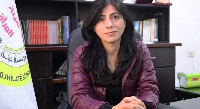 Omer: Rojava hakikati egemenleri korkutuyor