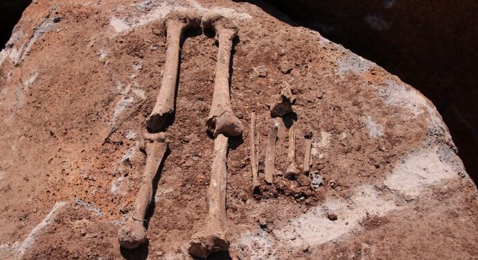 ‘JİTEM Karargâhı’nda bulunan kemikler: Kayıp yakınları kan örneği verdi