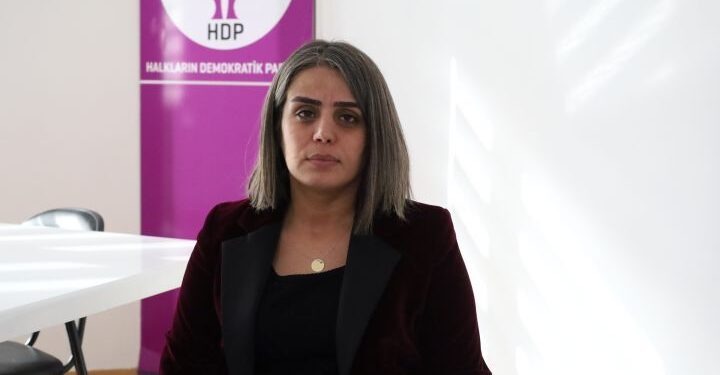 Başaran: Çözüm örgütlü mücadelemizde