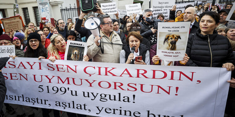 Hayvan hakları savunucuları birçok ilde eylem yaptı