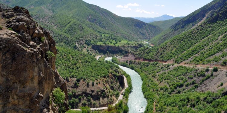 Dersim’de mücadele kazandı