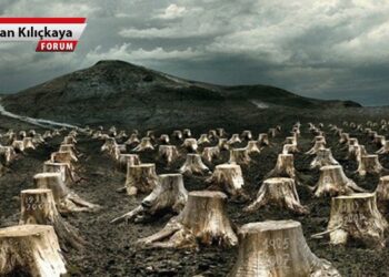 Kamu arazileri savaşa kurban ediliyor