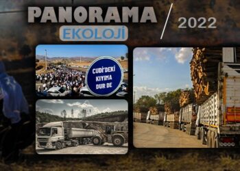 AKP’nin doğa düşmanı 20 yılı: Ağaca bakıp odun görmek!