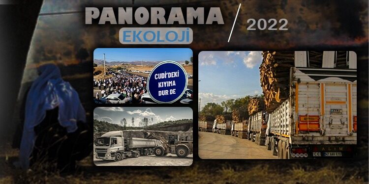 AKP’nin doğa düşmanı 20 yılı: Ağaca bakıp odun görmek!