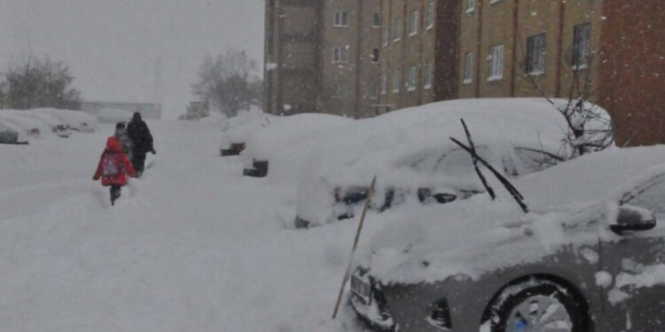 Colemêrg’te kar yağışı: Kayyum yönetimindeki belediyeden tek hizmet yok
