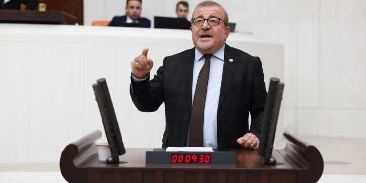 MEB bütçesi görüşmelerinde anadilde eğitim talebi