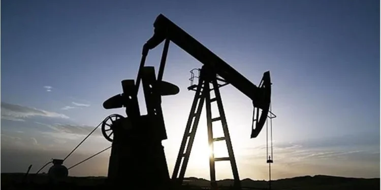 Rusya’dan AB’ye tavan fiyat tepkisi: Likör, pamuklu battaniye stoklasınlar