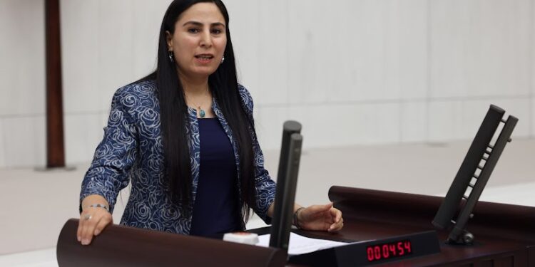 HDP’li Sürücü: İşsizliğin en yoğun olduğu bölge GAP’tır