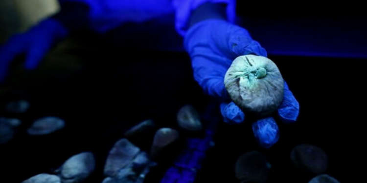 3 ülkenin geri gönderdiği küflü incirler iç piyasaya mı sürülecek?