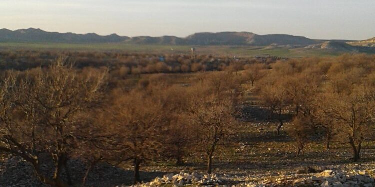 Eksim Holding’e meralık alan peşkeş çekiliyor