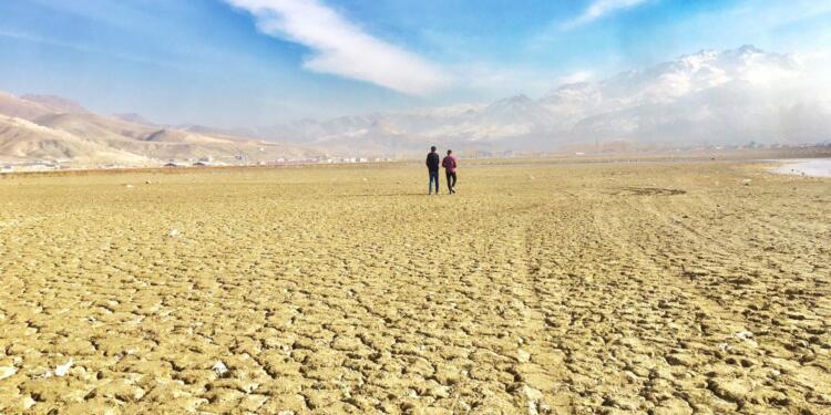 DEDAŞ’a teşvikler sürüyor, çiftçi üretemiyor