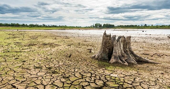 Çobanoğlu: Çözüm ekolojik tarımda!