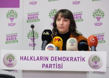 Gençlik Meclis’inden seçim kampanyası