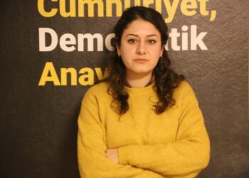 TÖP Sözcüsü Gözen: İstanbul mitingi herkesin mitingi