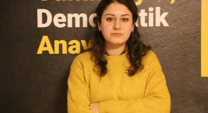 TÖP Sözcüsü Gözen: İstanbul mitingi herkesin mitingi