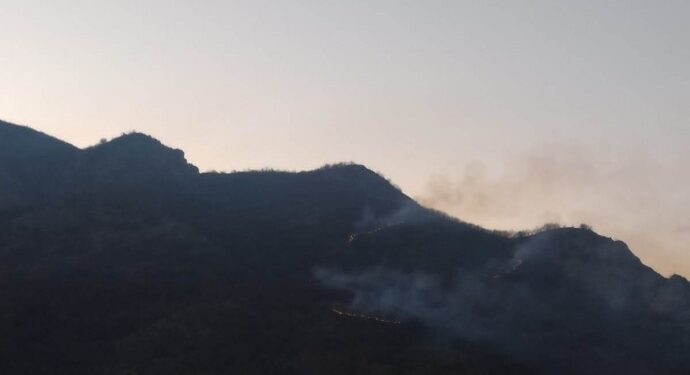 Askeri operasyon gerekçesiyle 4 kentte ormanlar ateşe verildi