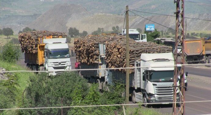 Ağaç kıyımına karşı çıkanlara valilikten tehdit
