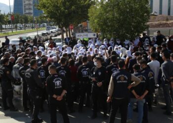 Emine Şenyaşar’dan kadınlara çağrı: Umudum sizin gelmenizde