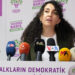 HDP’den ‘Hazinemiz halkımızdır’ kampanyası