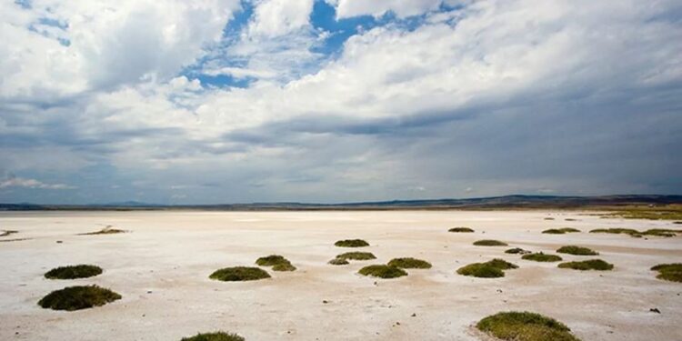 Kuruyan göle TİGEM çöktü