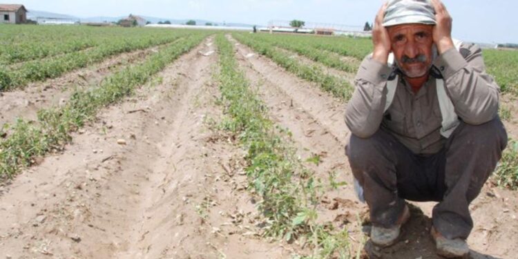 Kuraklık kâbusa dönüşebilir