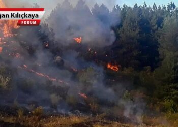 Savaşın acı bilançosunu doğamız ödememeli