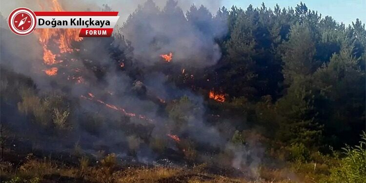 Savaşın acı bilançosunu doğamız ödememeli