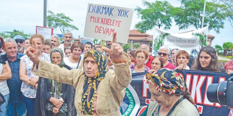 Ekoloji hareketleri tutum belgesi: Hep birlikte özgürleşeceğiz