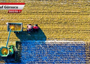 Tarımda tek adam ve tekelleşme modeli! (1)