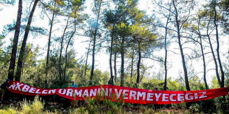 ‘Akbelen kazanırsa hepimiz kazanacağız’