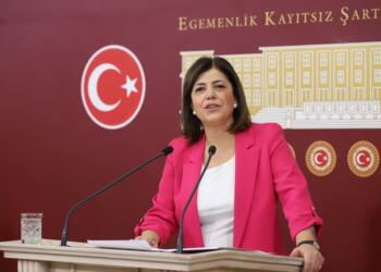 Beştaş kapatma davasındaki hukuksuzlukları sıraladı: Bu bütün muhaliflerin hikayesidir