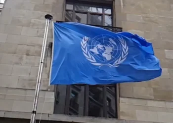 BM’ye mektup: Abdullah Öcalan barışın anahtarıdır