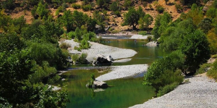 Doğa katliamına ‘resmi’ izin: Sarım Havzası yok ediliyor!