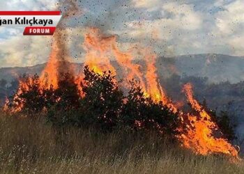Derelerin Kardeşliği’nden Ekoloji Konfederalizmi’ne
