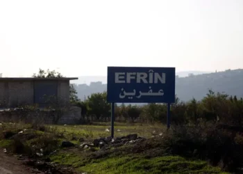 MSD’den uluslararası güçlere Efrîn çağrısı